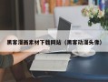 黄南黑客漫画素材下载网站（黑客动漫头像）